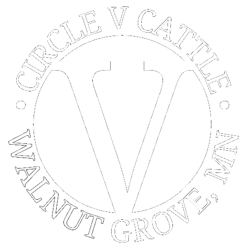 Circle V Cattle Company