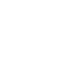 Circle V Cattle Company Logo